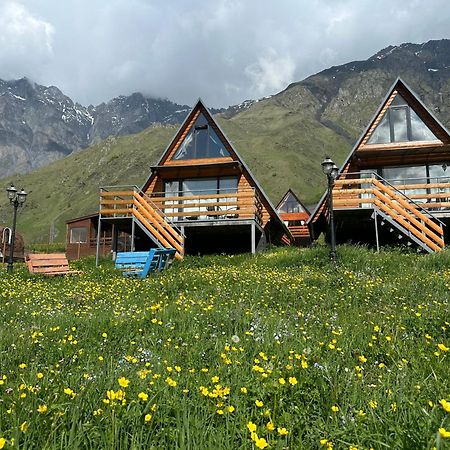 T&T Cottage Kazbegi Luaran gambar